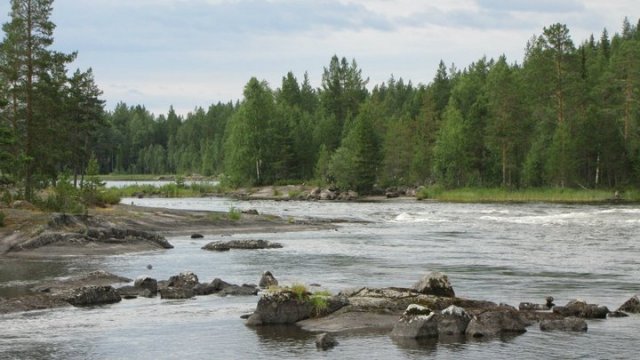 2011-08-svedsko-07