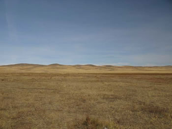 2011-11-mongolsko-20